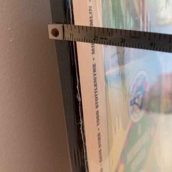 Toronto Blue Jays 1992 Season World Series Championship Toronto Star Wall Plaque - Picture 7 of 16